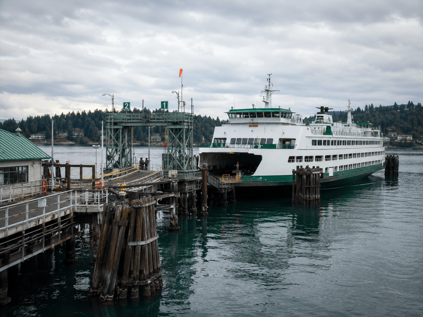 Port Orchard house cleaning services